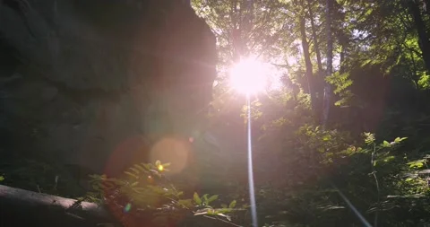 Ray of sun in the thick of the forest dawn mountains near rocks jungle reserve Stock Footage 176266541