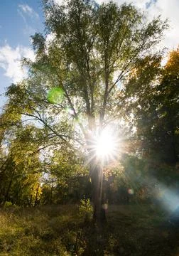 Ray of sunlight Stock Photos