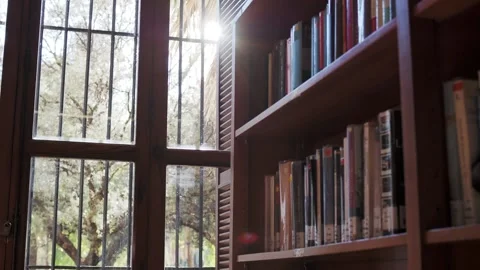 A ray of sunlight shines through the library window and onto the bookshelves Stock Footage 260737453