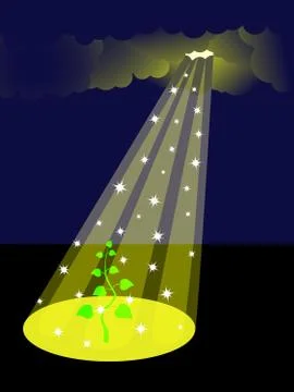 Ray of sunlight shining through dark clouds on green sprout Stock Illustration