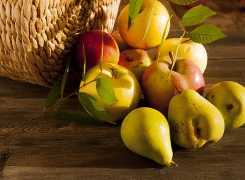 A ray of sunshine on the fruit. Stock Photos