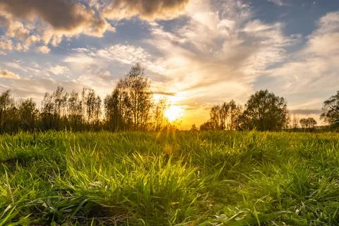 Ray of sunshine through the tree Fotos Stock
