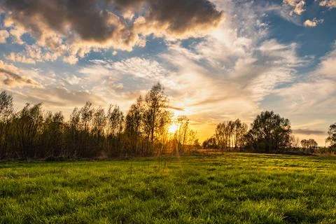 Ray of sunshine through the tree Stock Photos