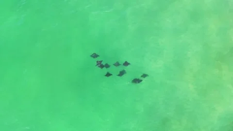 Ray2 Stock Footage 285746245