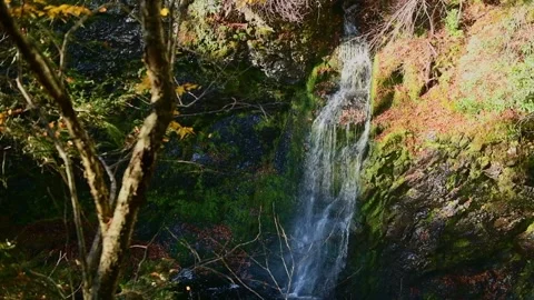 Raymond skill falls 2 Stock Footage 259424412