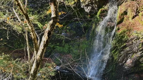 Raymond skill falls 4 Stock Footage 259425517