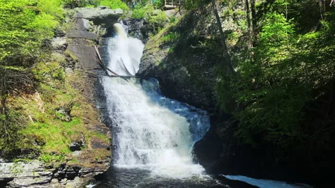 Raymondskill Higher Falls Stock Footage 131396146