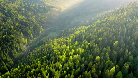 Rays of early morning sun falling on a Mountain hills valley and a dense forest. Stock Footage 200218996