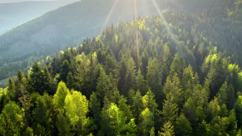 Rays of early morning sun falling on a Mountain Range hills forest valley Stock Footage 200219743
