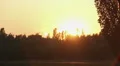 Rays of fantastic golden sunset penetrating tops of trees in beautiful park HD Footage
