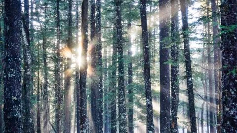 Rays of hope Stock Photos