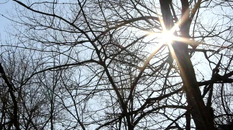 Rays of Life Stock Footage 649766