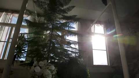 Rays of light coming out of a window in an old house with trees and plants Stock Footage 171922327