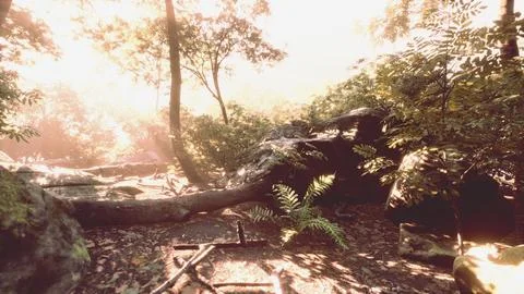 Rays of light coming through leaves in a tropical jungle Illustrazione stock