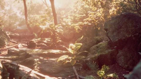Rays of light coming through leaves in a tropical jungle Stock-Illustration