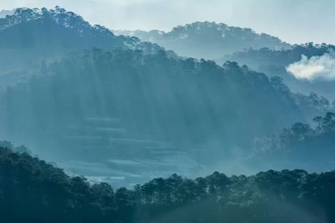 Rays light cross trees over mountain landscape Stock Photos