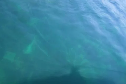 Rays of light falling into the sea.close up to the waves surface photo.cool a Stock Photos