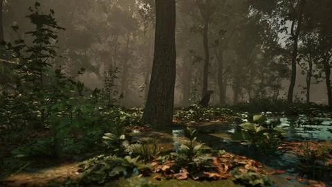 Rays of light falling through the mist and trees in the swamp Stock Illustration