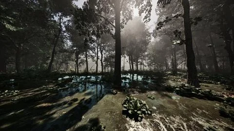 Rays of light falling through the mist and trees in the swamp Stock Illustration