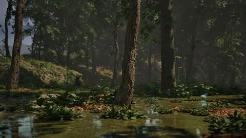 Rays of light falling through the mist and trees in the swamp Stock Illustration