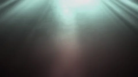 Rays of light, heavenly, optical lens flare realistic animation. Stock Footage 137714192