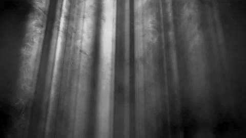 Rays of light, heavenly, optical lens flare realistic animation. Stock Footage 137714839