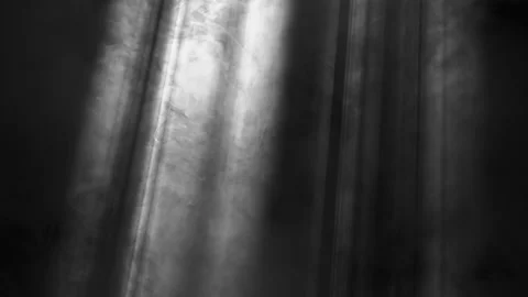 Rays of light, heavenly, optical lens flare realistic animation. Stock Footage 137715191