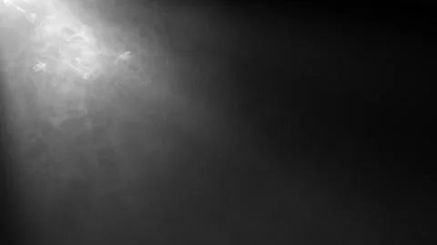 Rays of light, heavenly, optical lens flare realistic animation. Stock Footage 137716321