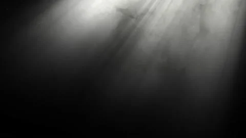 Rays of light, heavenly, optical lens flare realistic animation. Vidéo 137716462