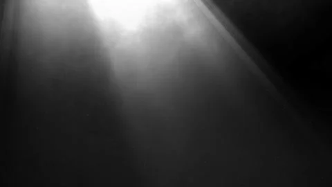 Rays of light, heavenly, optical lens flare realistic animation. Stock Footage 137716545