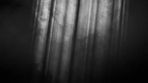 Rays of light, heavenly, optical lens flare realistic animation. Stock Footage 137716667