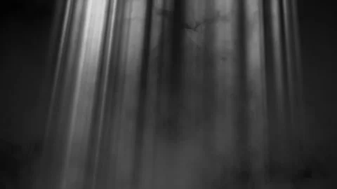 Rays of light, heavenly, optical lens flare realistic animation. Stock Footage 137716729