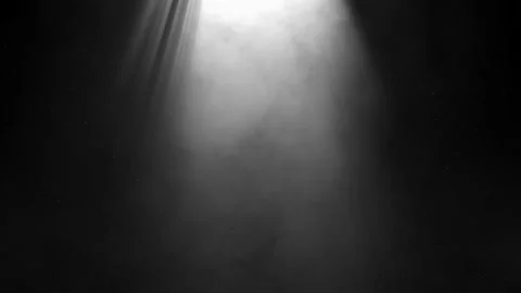 Rays of light, heavenly, optical lens flare realistic animation. Stock Footage 137716752