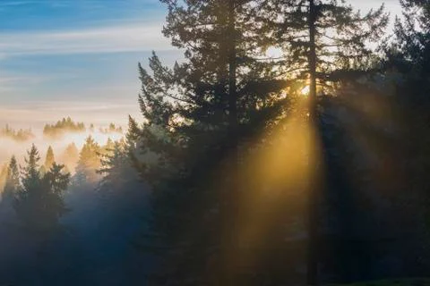 Rays of light Stock Photos