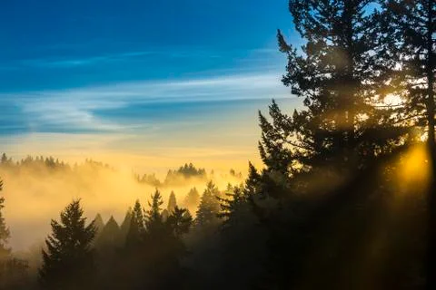 Rays of light Stock Photos
