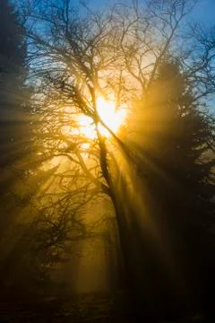 Rays of light Stock Photos