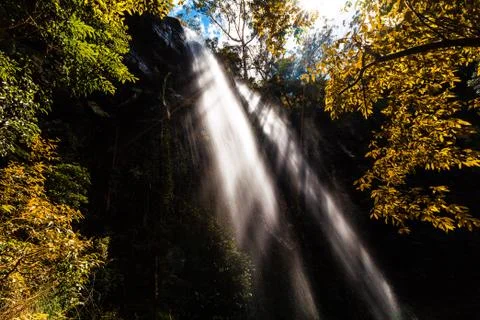 Rays of light protruding through high waterfall and lush vegetation in rainfo Stock Photos