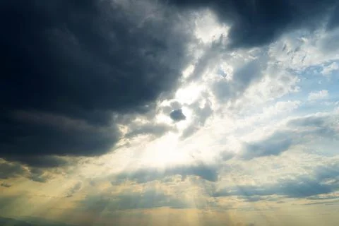 Rays of light shining down in morning Stock Photos