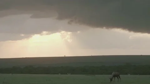 Rays of light shoot through the clouds in an African landscape. Stock Footage 156466550