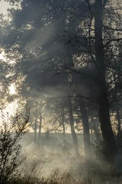 Rays of light in the smoke of the fire Foto stock