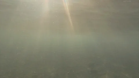Rays of light through the surface of the water Stock Footage 96483676