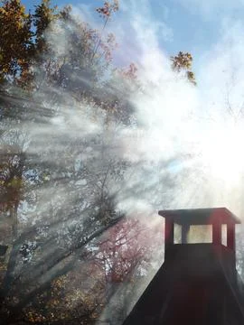 Rays of light through a tree over a barbacue Foto stock