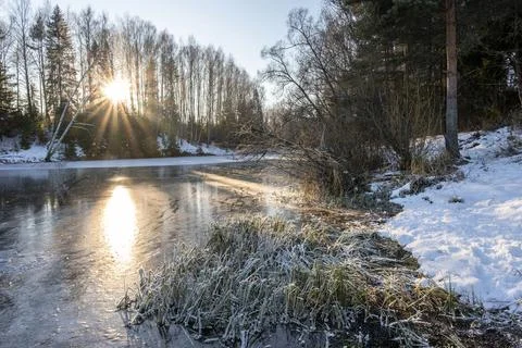 The rays of the low winter sun on the mirror ice of a small backwater. Stock Photos