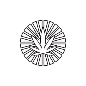 Rays marijuana leaf icon vector concept Stock Illustration