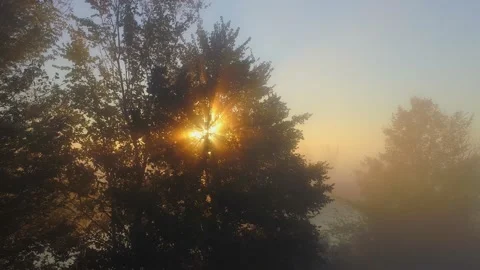 Rays of morning sun break through misty tree branches. Sunrise on the river with Stock Footage 221472829