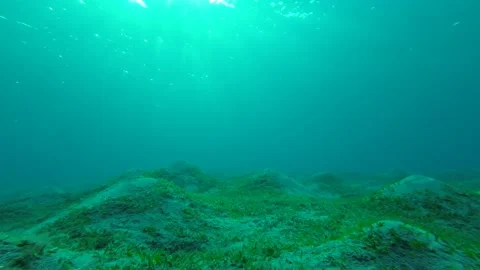 The rays of the morning sun break through the surface of the water   Stock Footage 230458942