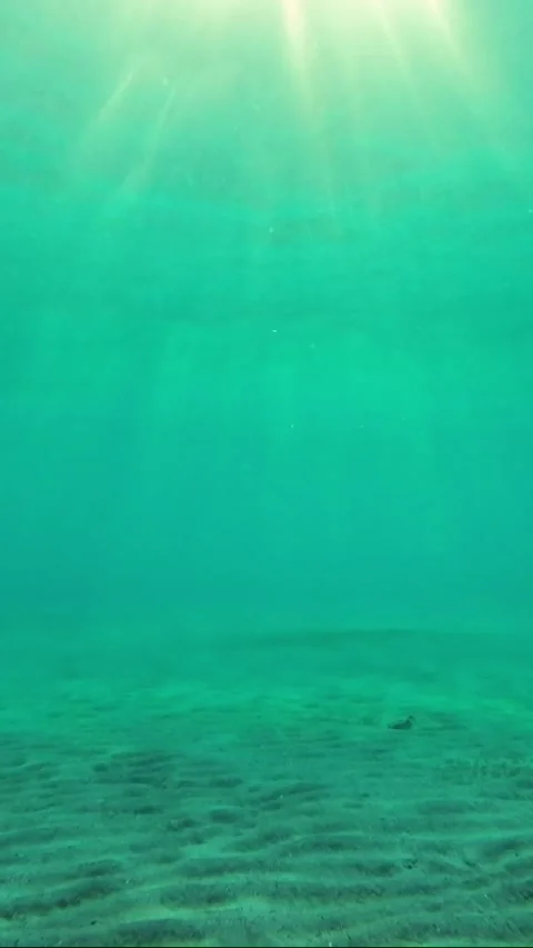 The rays of the morning sun break through the surface of the water Stock Footage 232766610