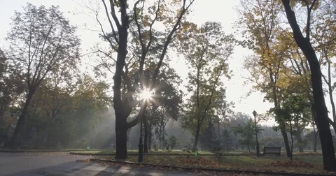 Rays of morning sun coming through the trees in the park of Kharkiv, Ukraine. Stock Footage 81620833