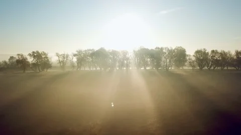 Rays of the morning sun through the trees and fog 4K 02 Stock Footage 126857140