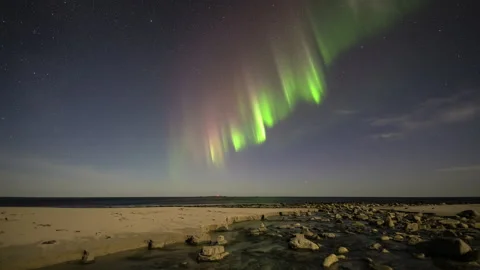 Rays of Northern Lights on the beach Stock Footage 250441665